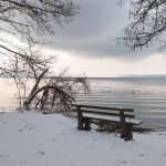 Winterblick auf den See